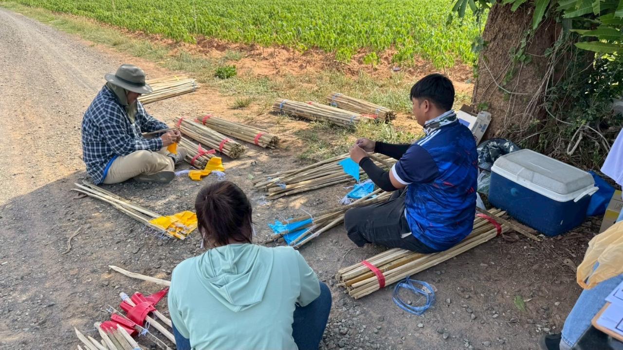 ภาพประกอบที่ 1