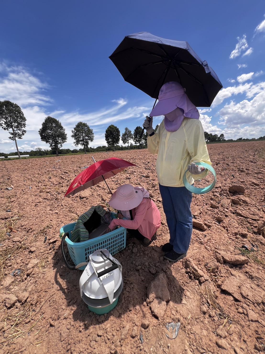 ภาพประกอบที่ 6