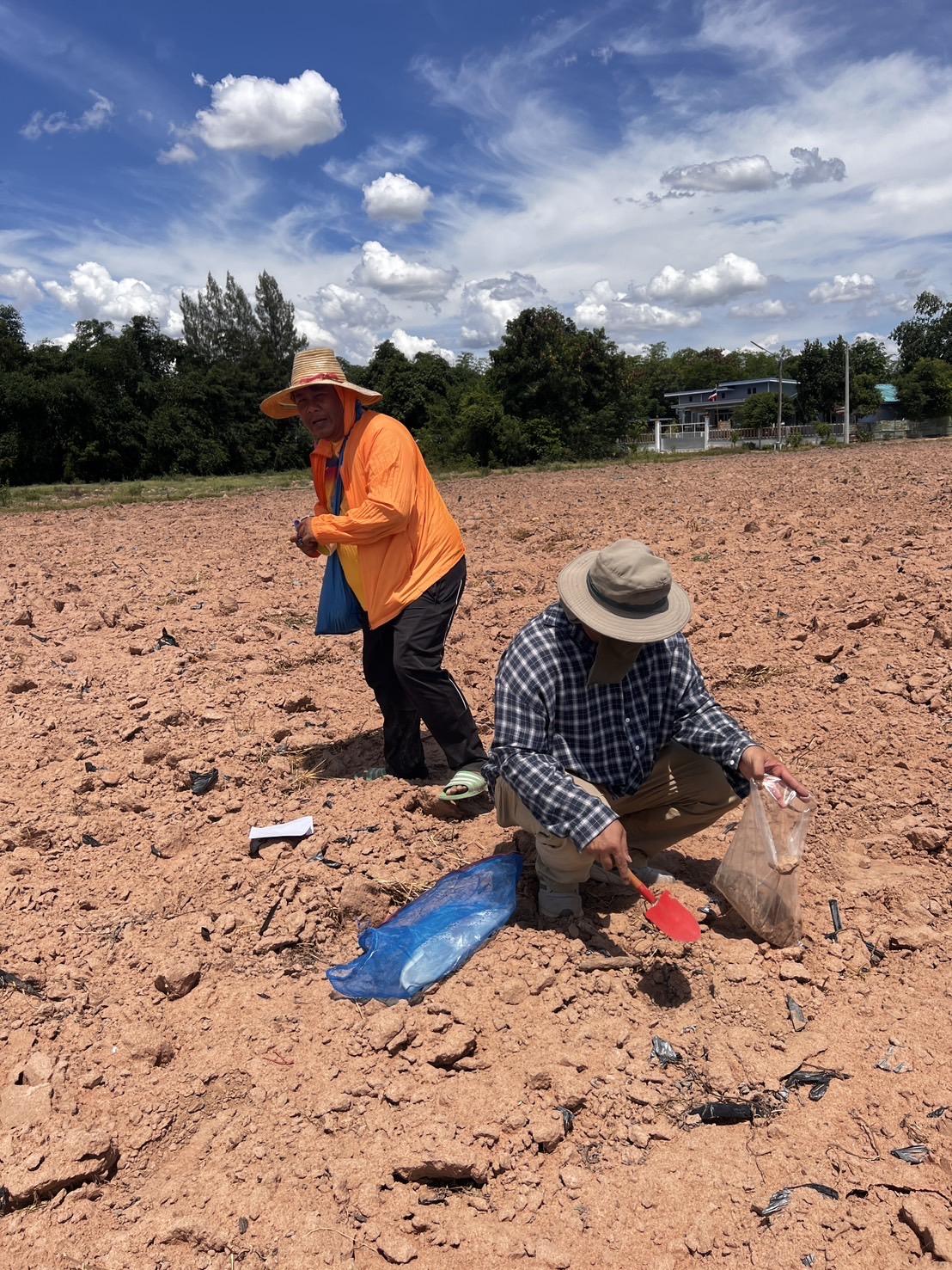 ภาพประกอบที่ 7
