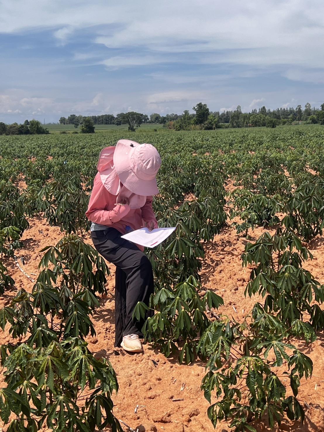 ภาพประกอบที่ 8