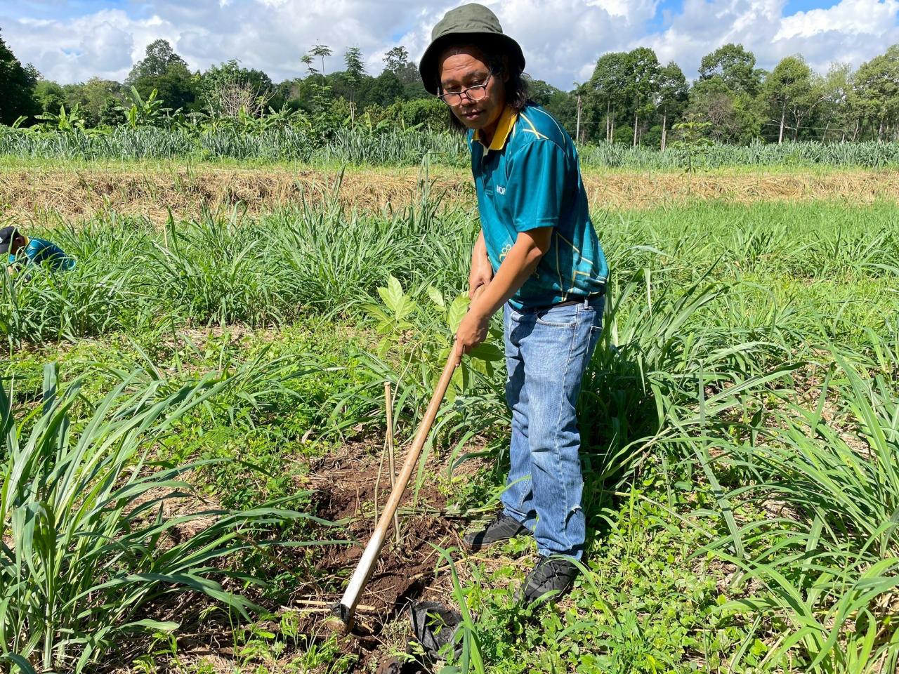 ภาพประกอบที่ 2