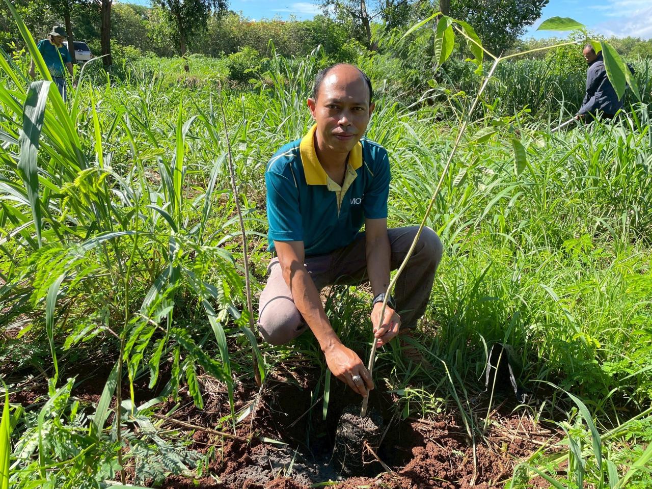 ภาพประกอบที่ 3