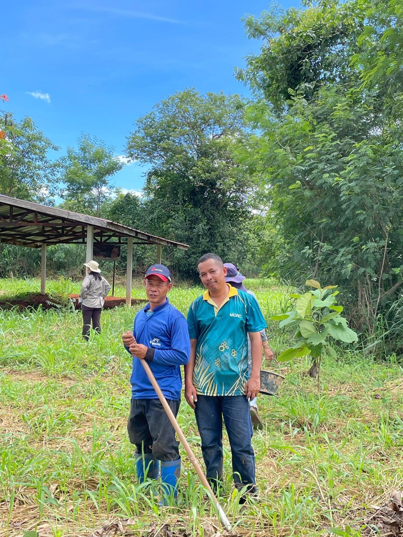 ภาพประกอบที่ 5