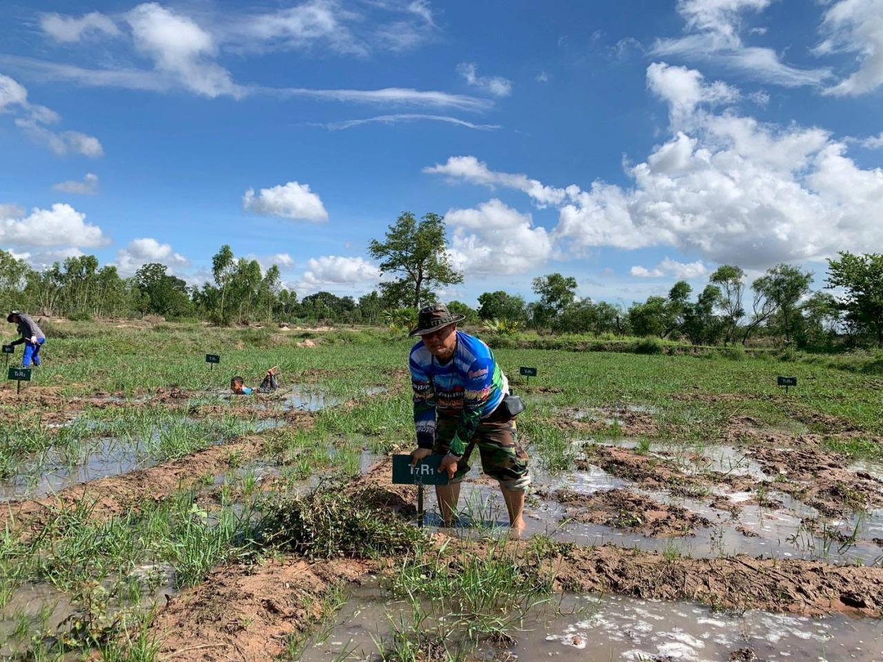 ภาพประกอบที่ 0