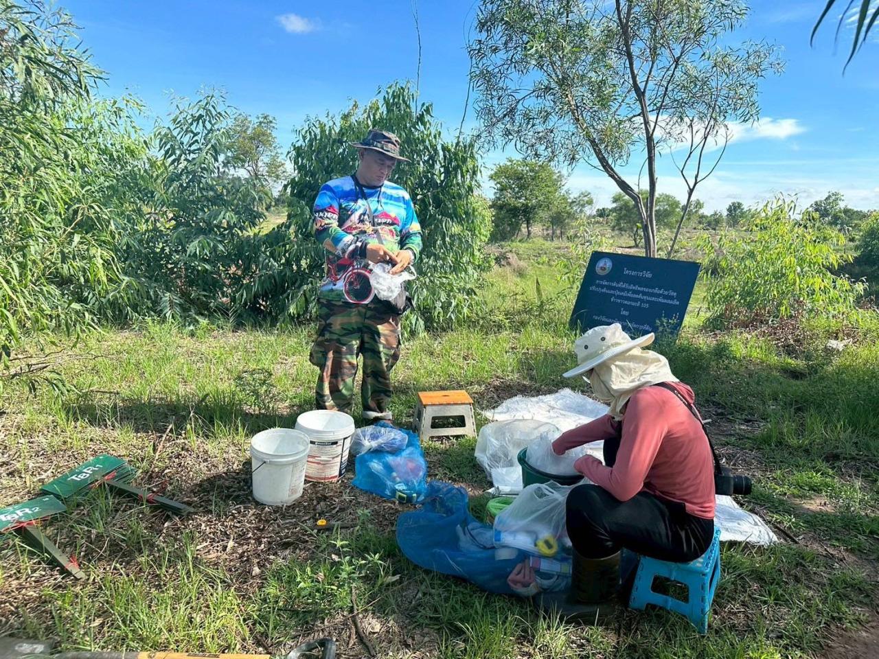 ภาพประกอบที่ 1