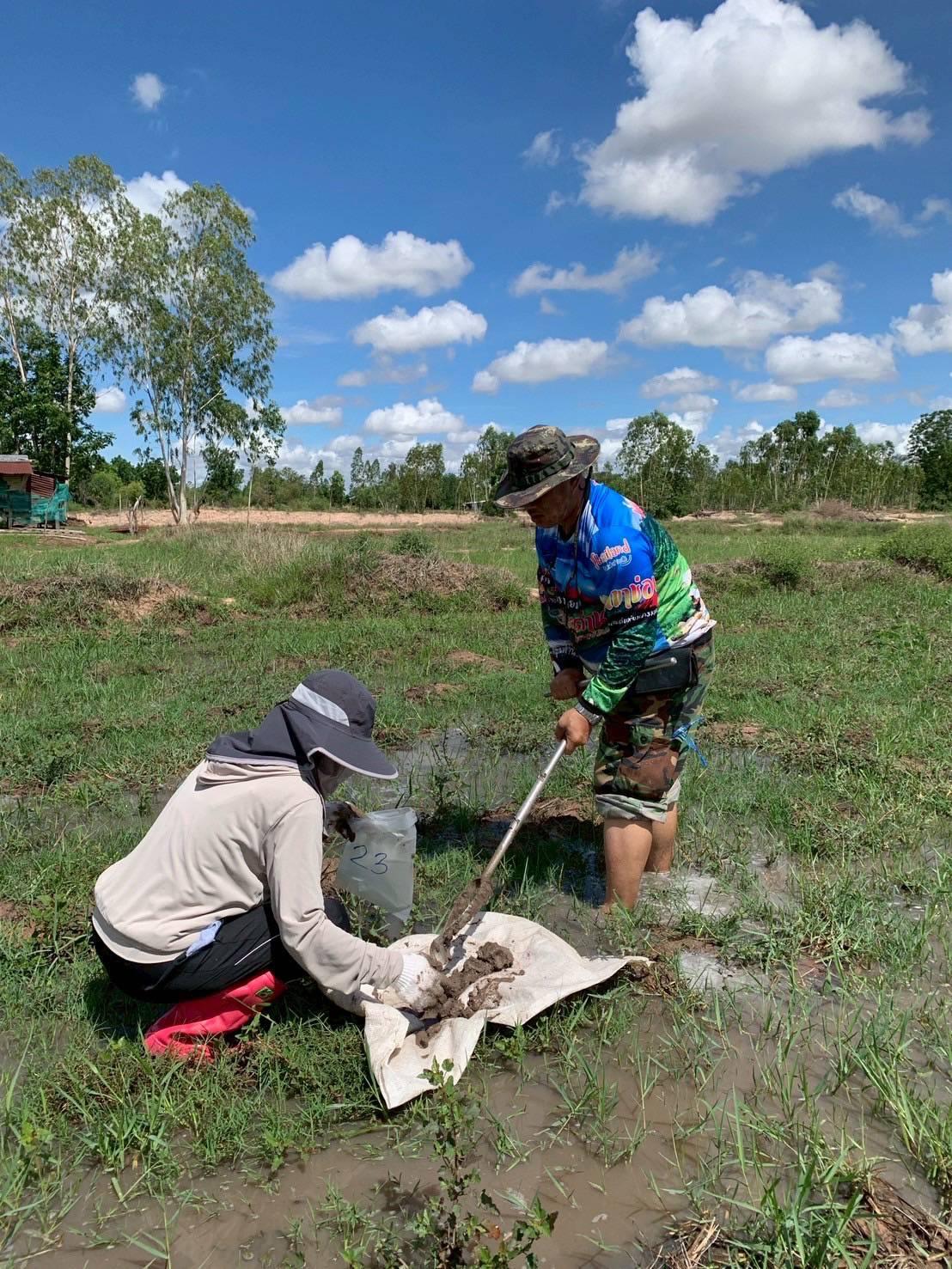 ภาพประกอบที่ 2