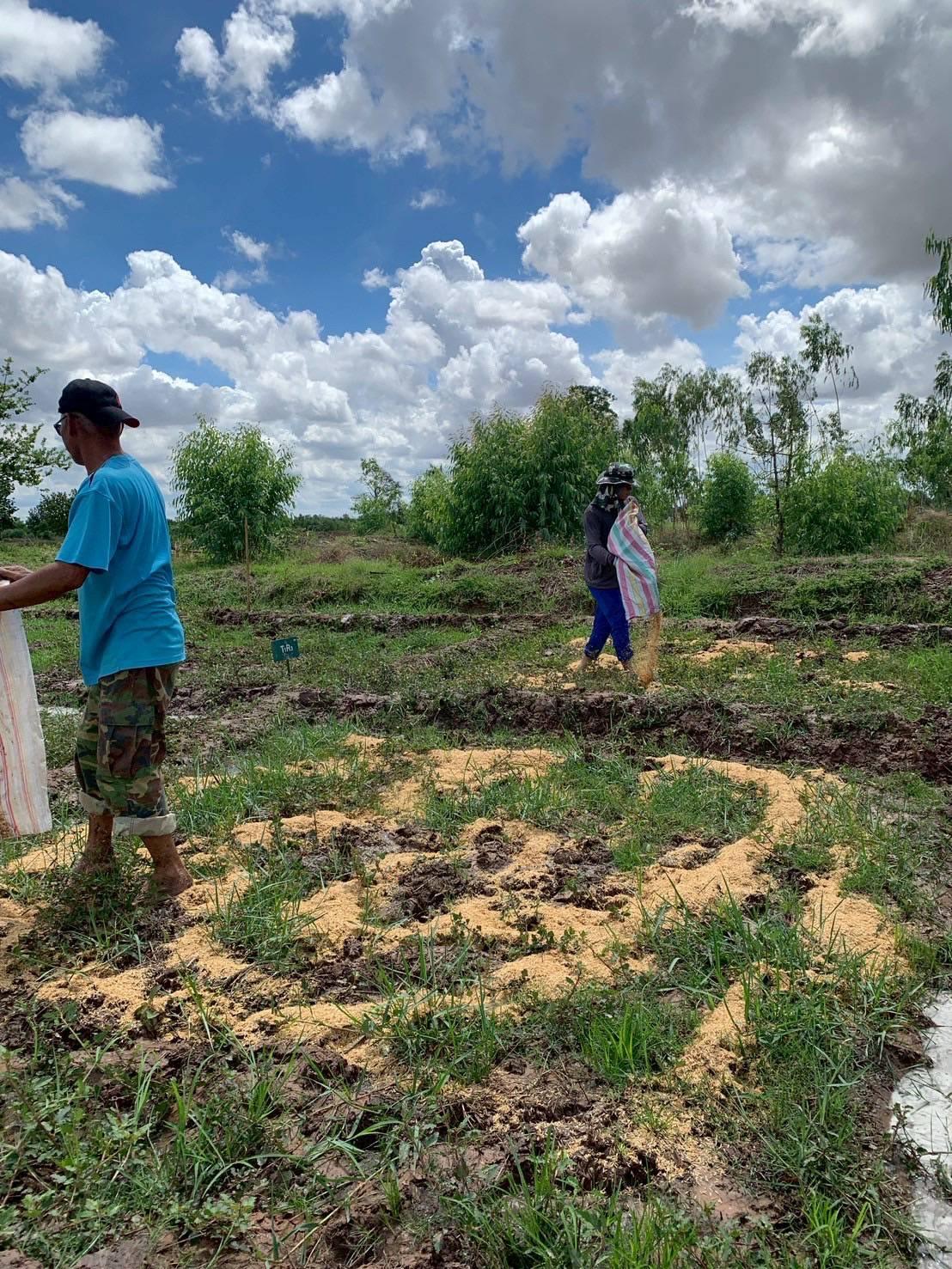 ภาพประกอบที่ 4