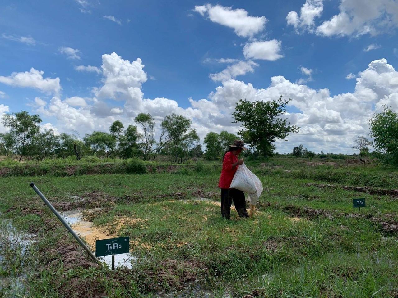 ภาพประกอบที่ 5