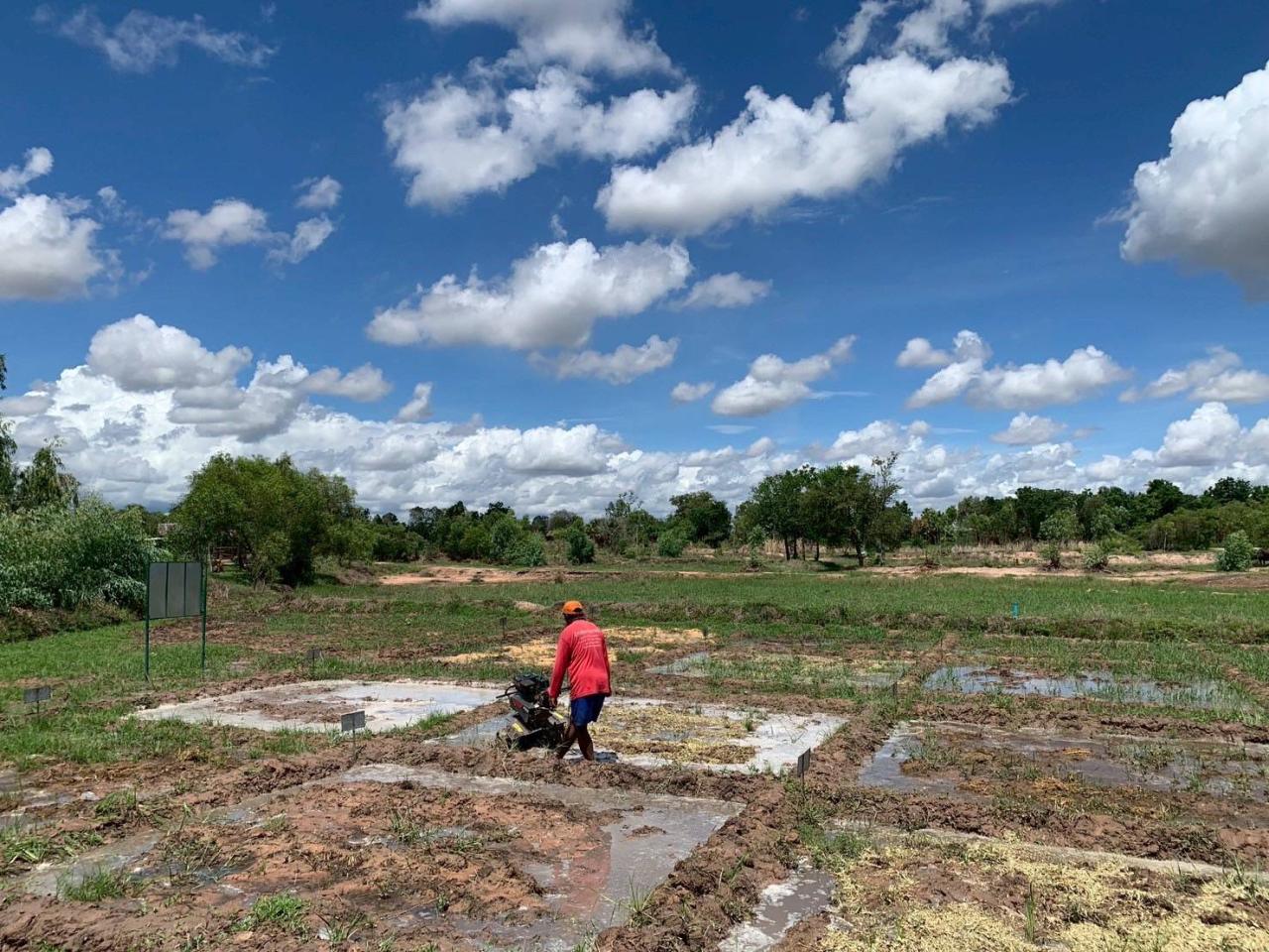 ภาพประกอบที่ 7