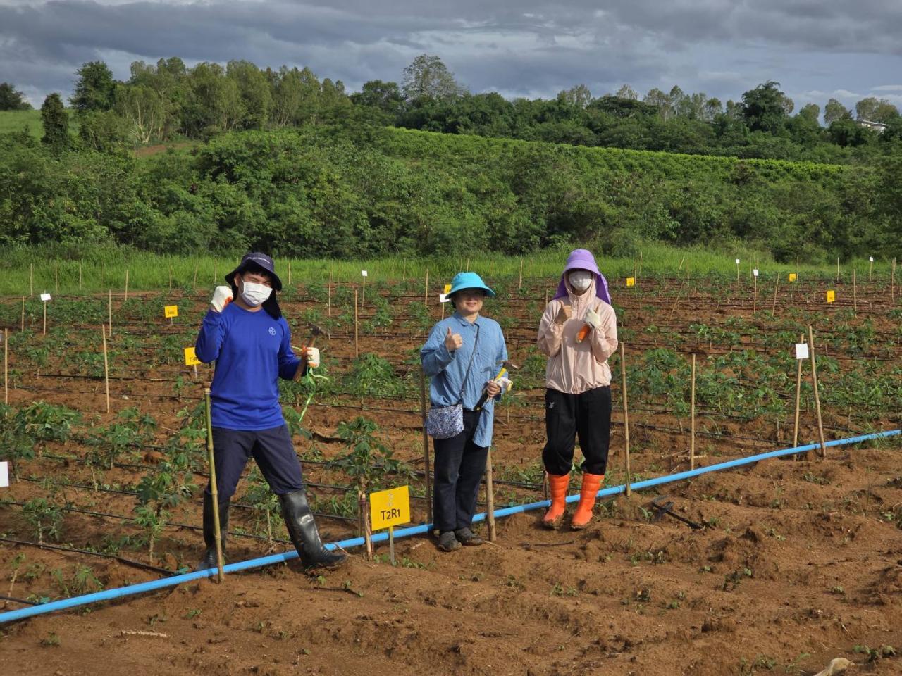 ภาพประกอบที่ 4