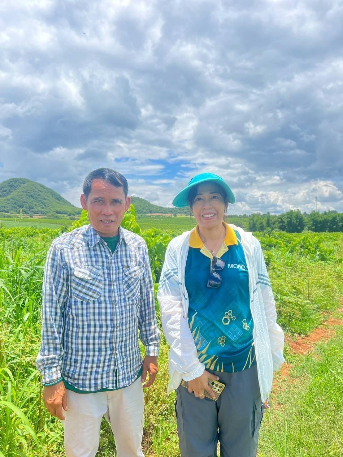 ภาพประกอบที่ 7