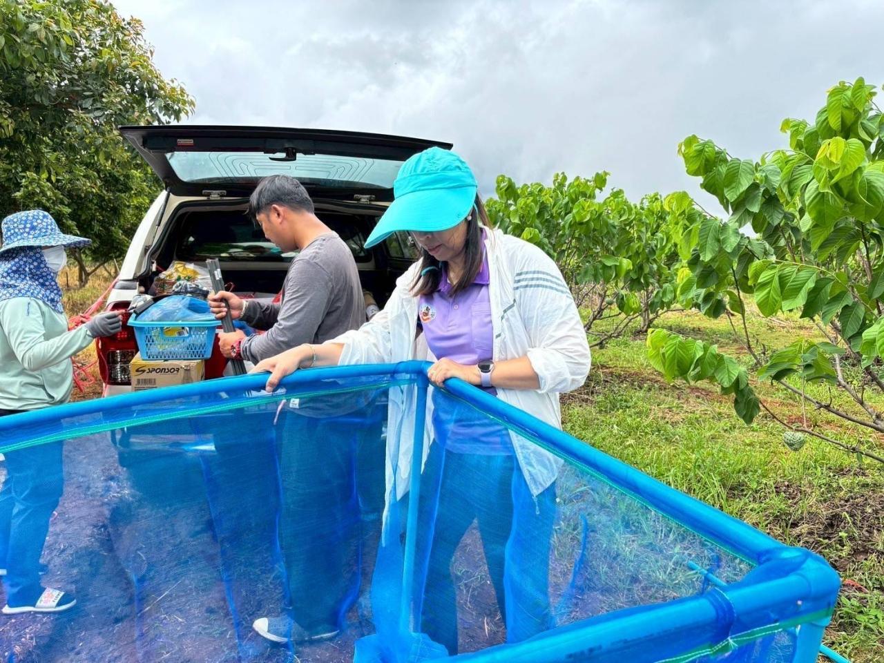 ภาพประกอบที่ 3