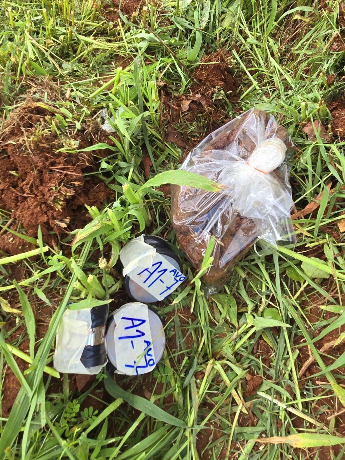 ภาพประกอบที่ 10