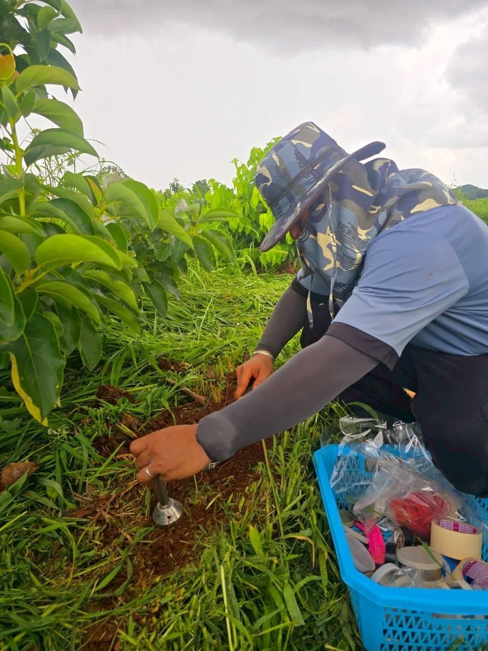 ภาพประกอบที่ 8