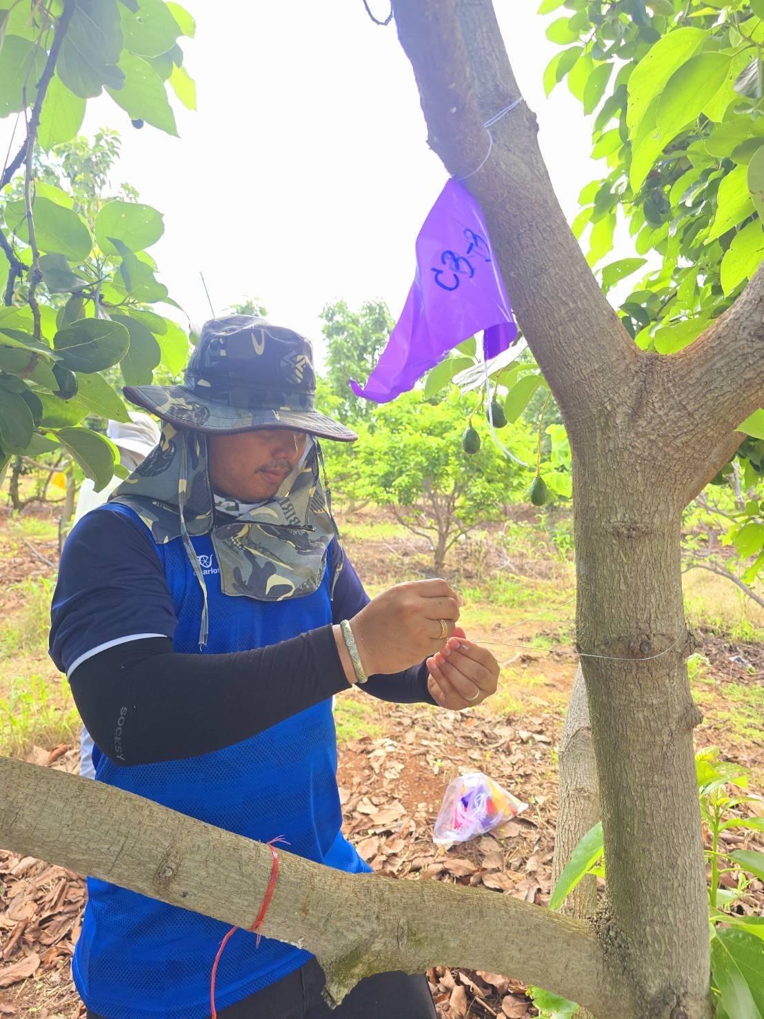 ภาพประกอบที่ 2