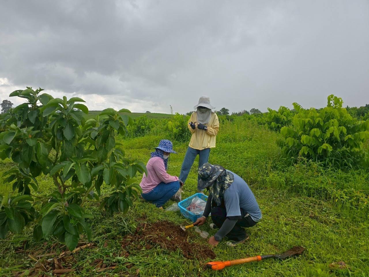 ภาพประกอบที่ 4