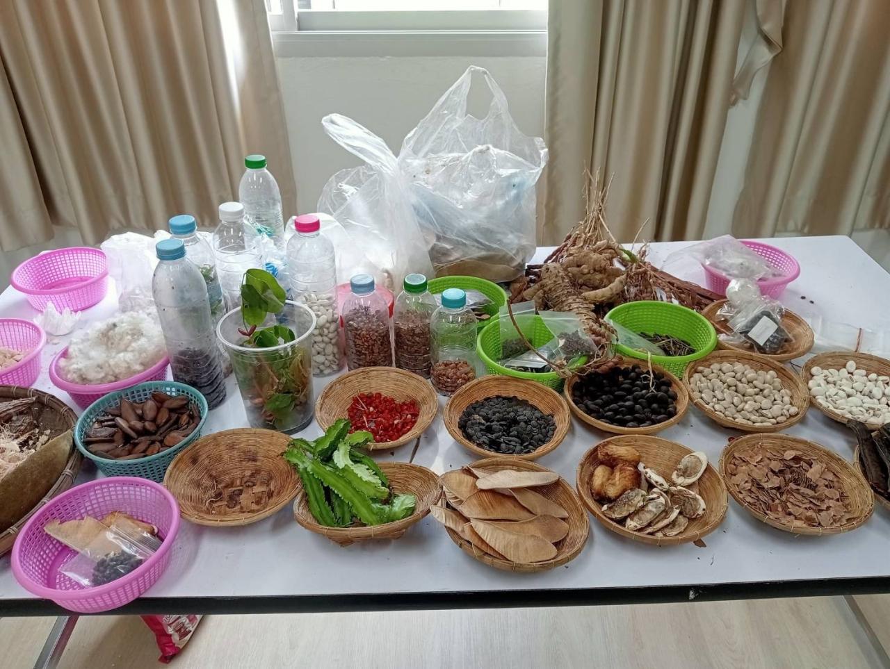 ภาพประกอบที่ 5