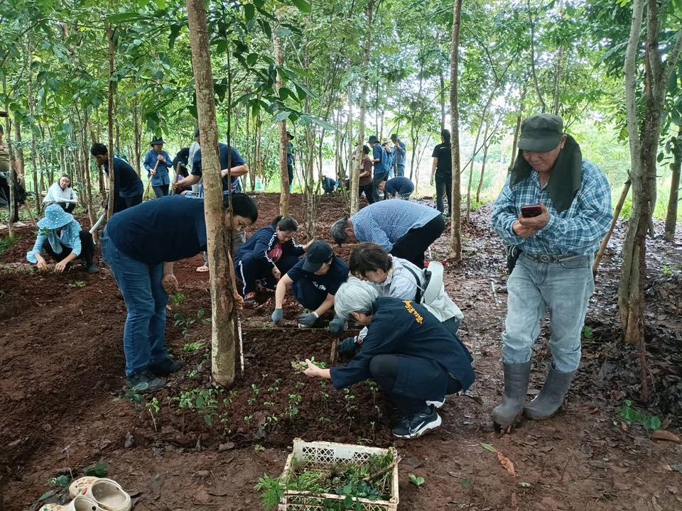 ภาพประกอบที่ 3