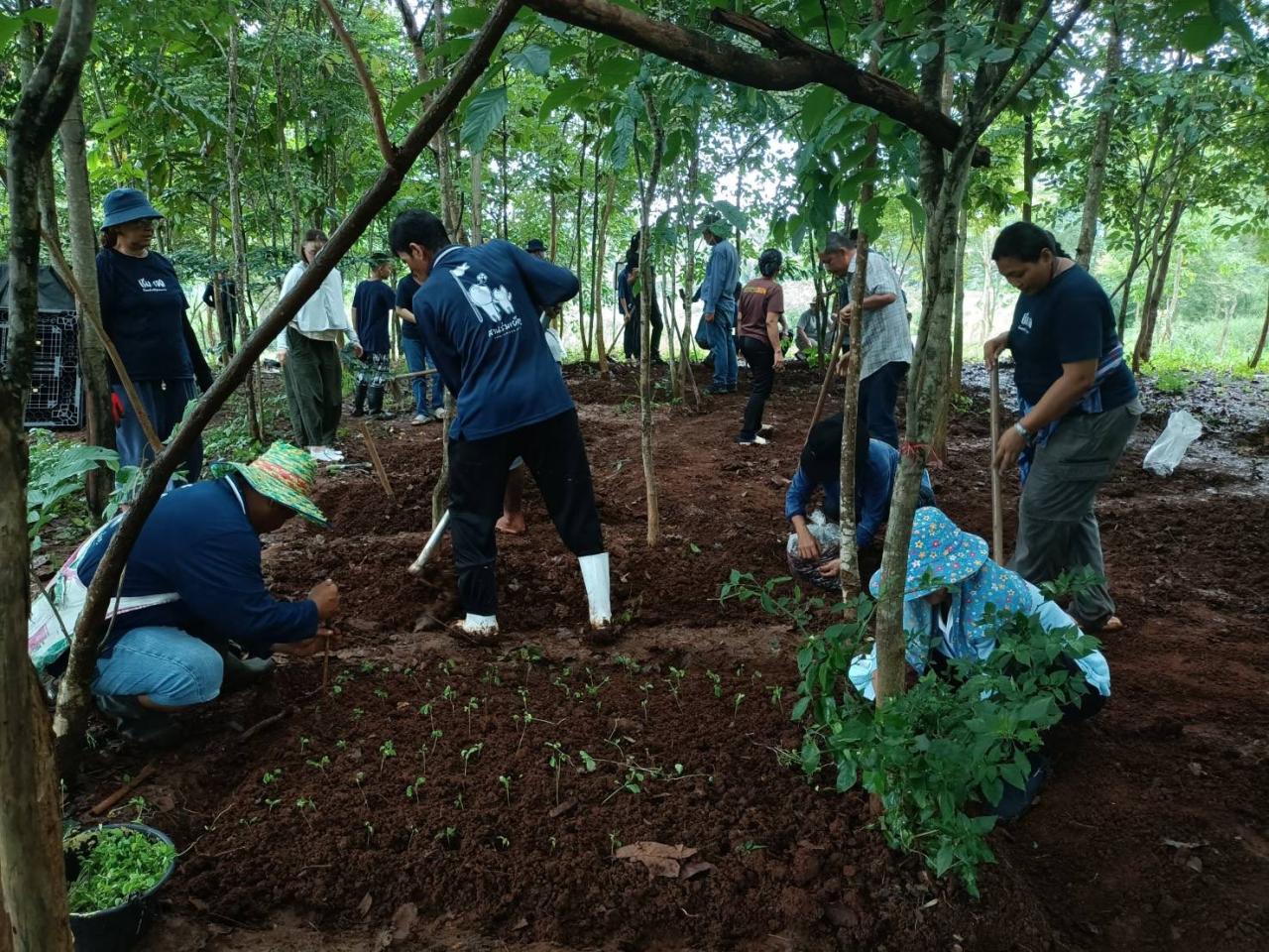 ภาพประกอบที่ 0