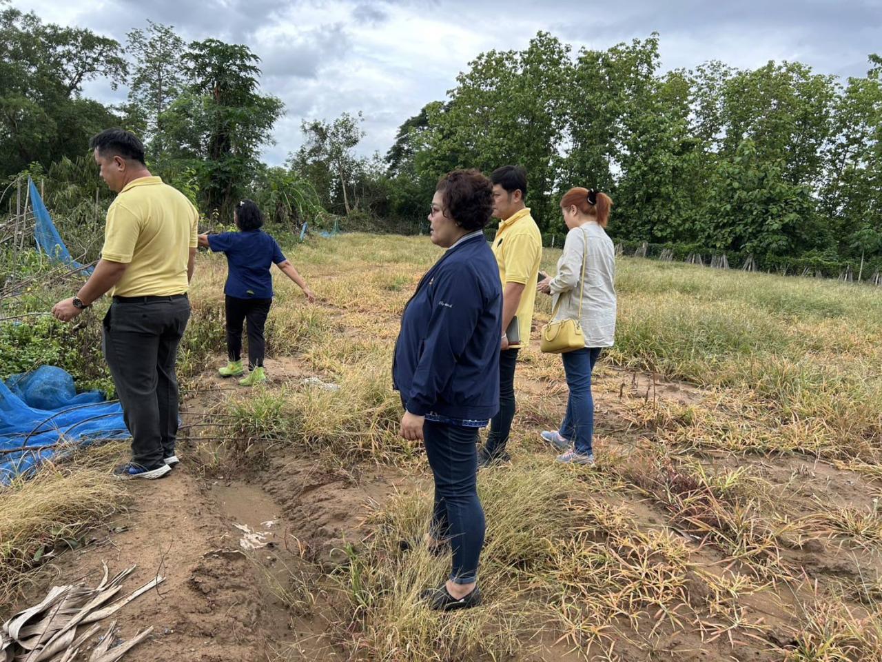 ภาพประกอบที่ 4