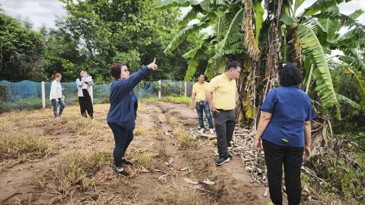 ภาพประกอบที่ 5