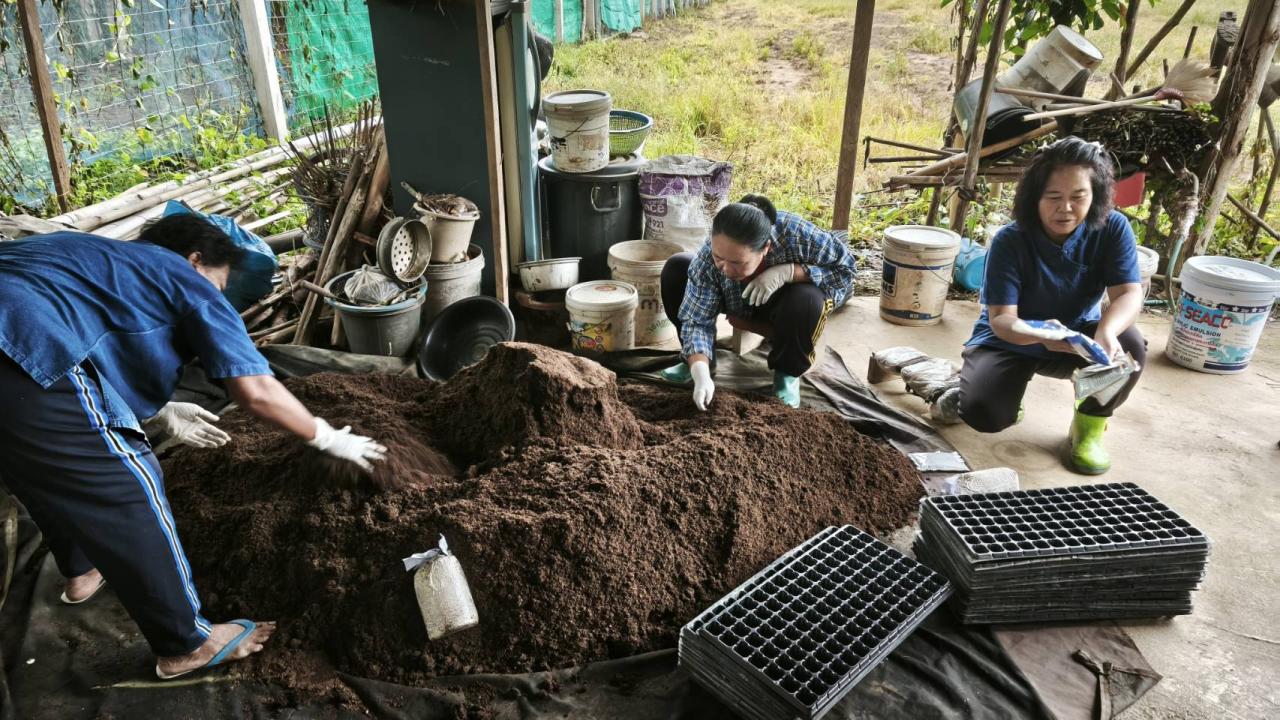 ภาพประกอบที่ 6