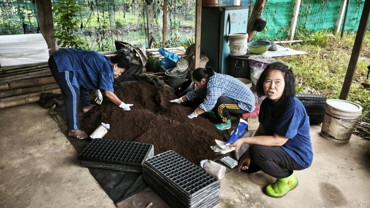 ภาพประกอบที่ 7