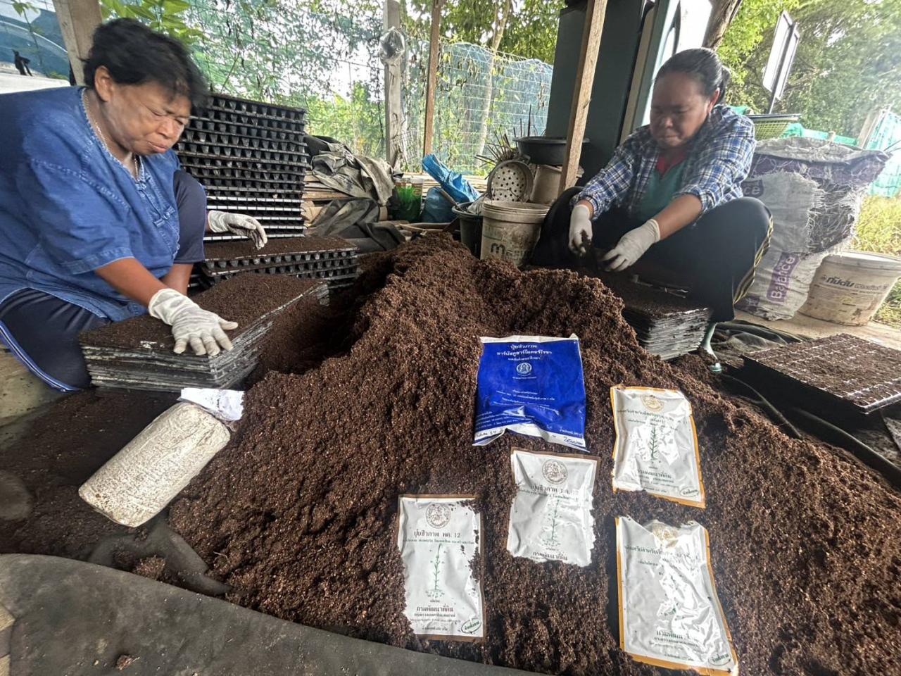 ภาพประกอบที่ 8