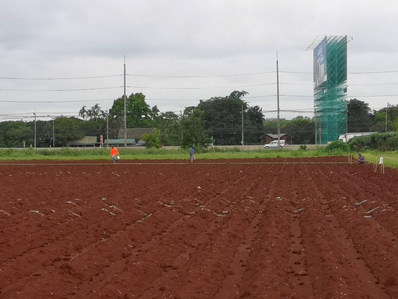ภาพประกอบที่ 0