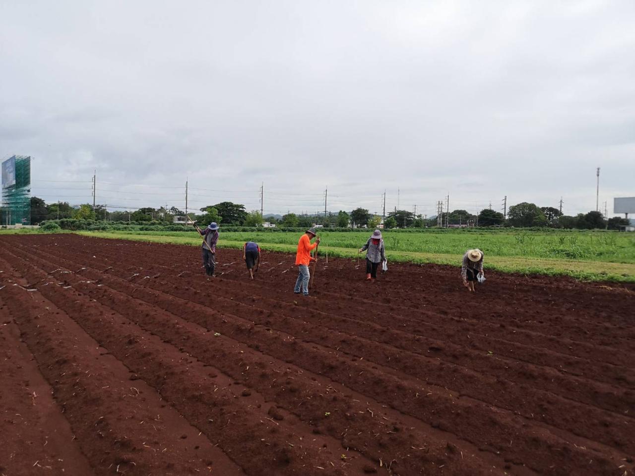 ภาพประกอบที่ 1