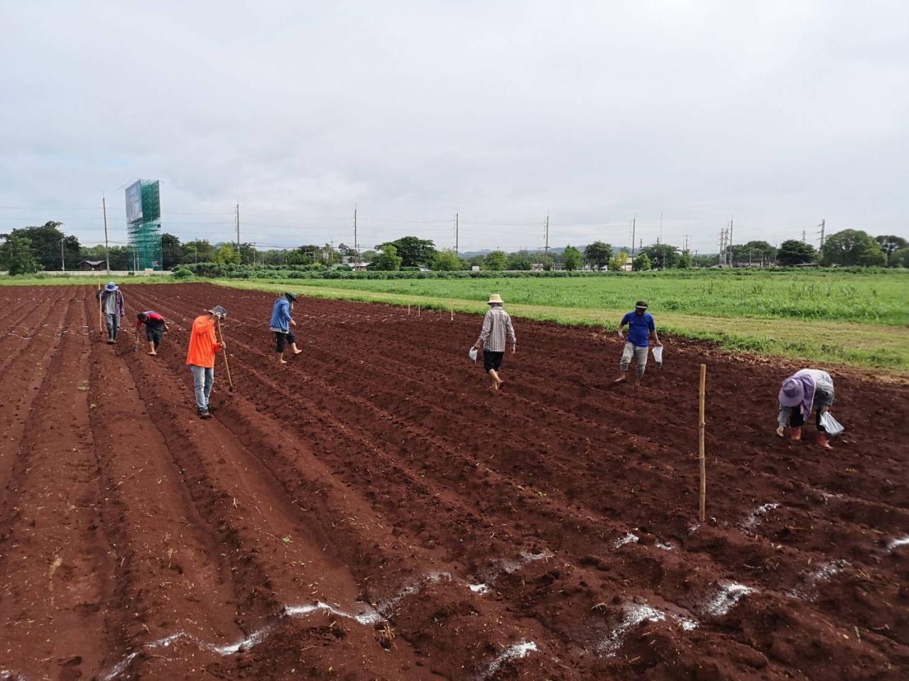 ภาพประกอบที่ 2