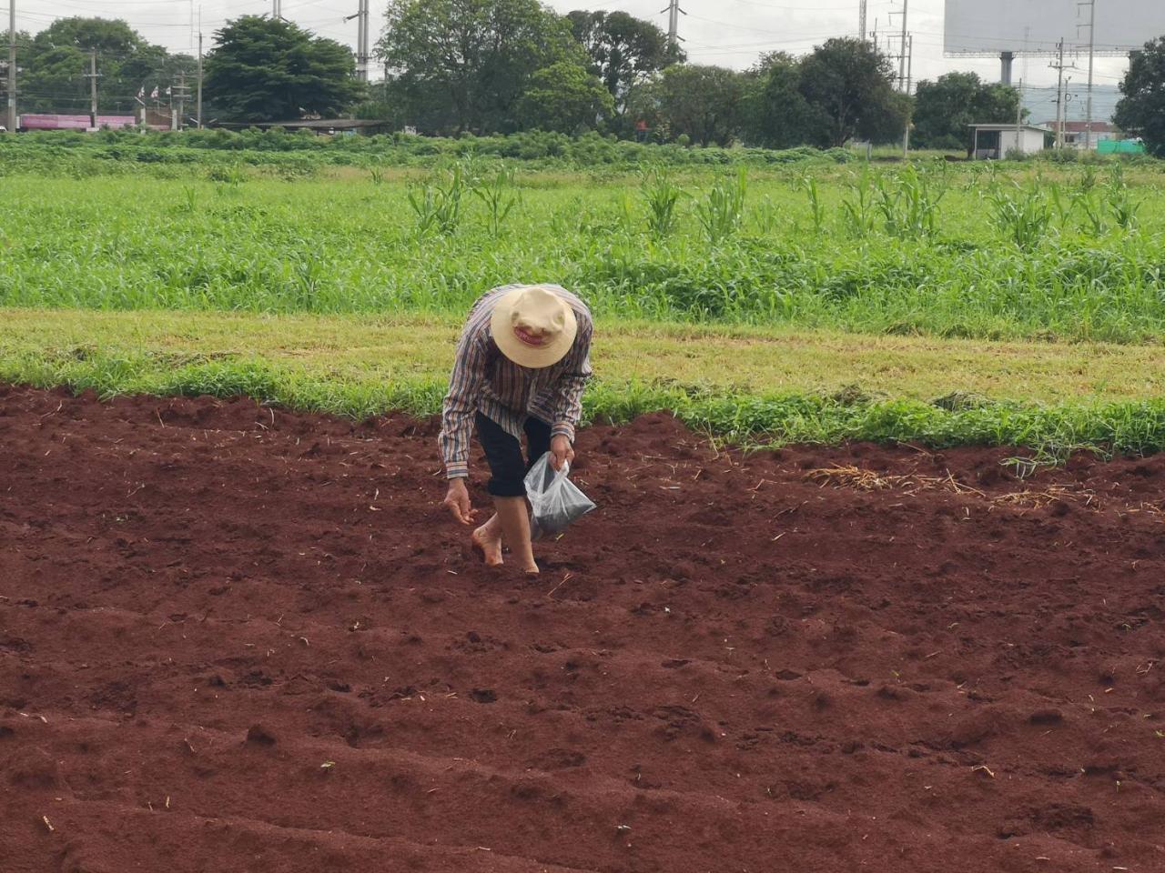 ภาพประกอบที่ 3