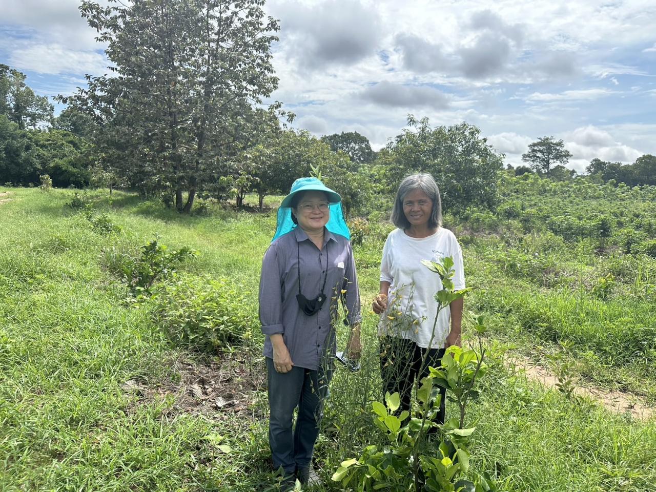 ภาพประกอบที่ 0