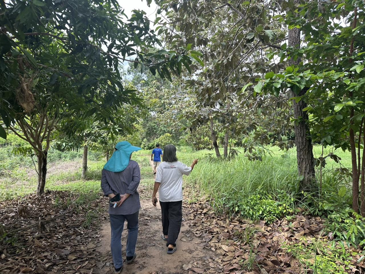 ภาพประกอบที่ 1