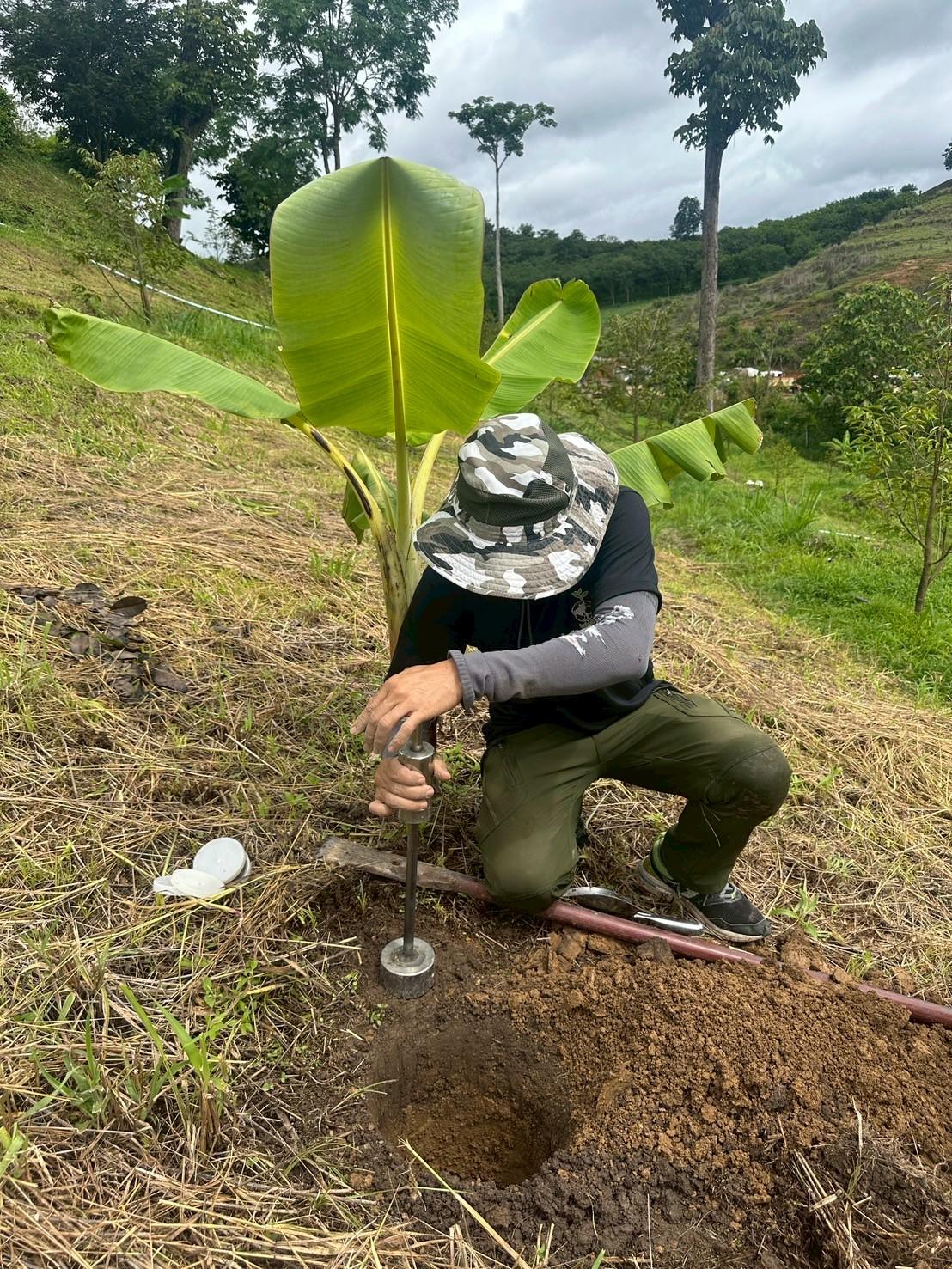 ภาพประกอบที่ 0