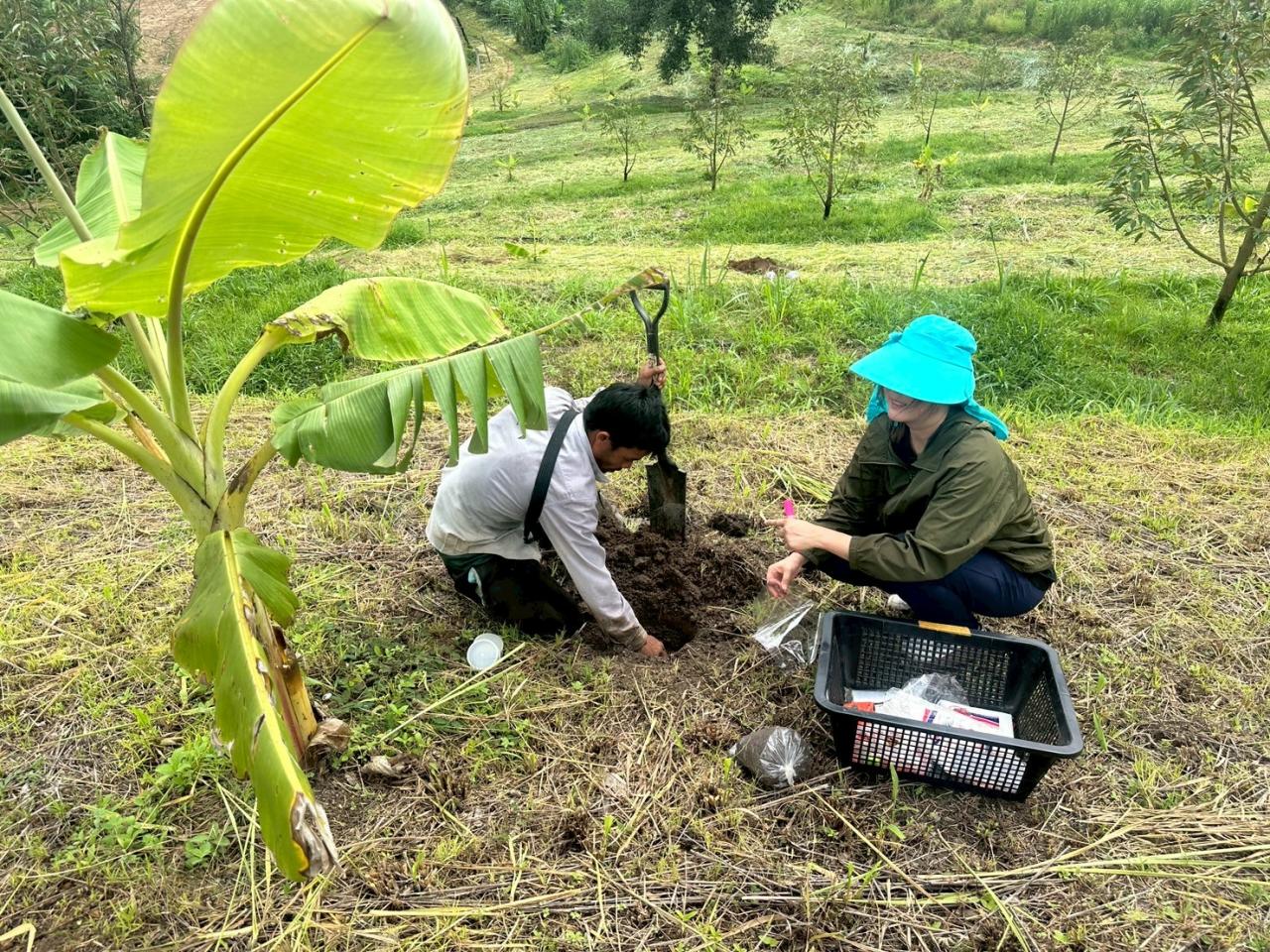 ภาพประกอบที่ 2