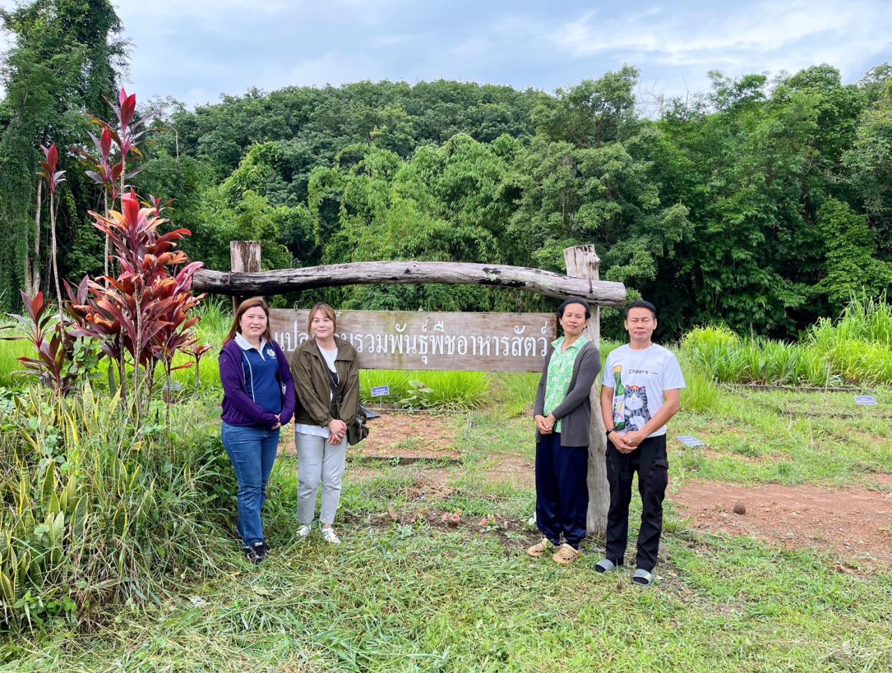 ภาพประกอบที่ 4