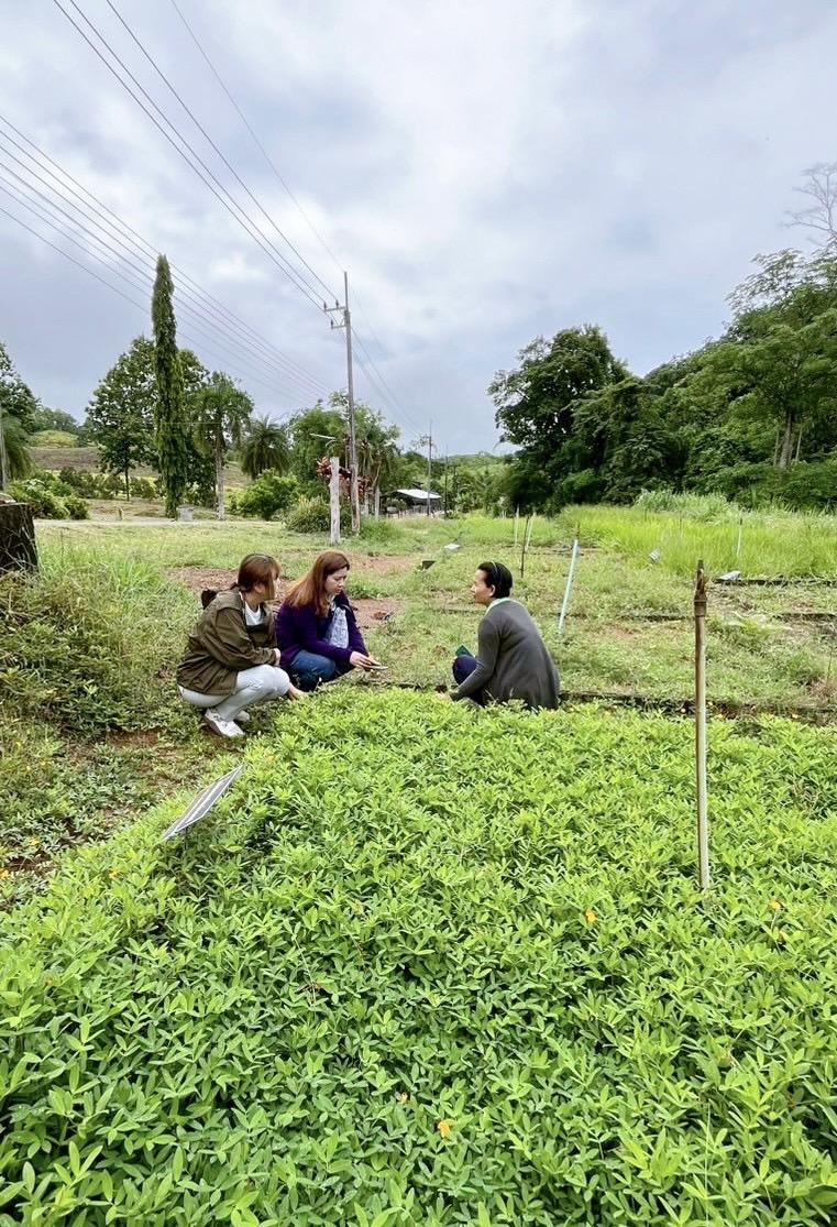 ภาพประกอบที่ 5