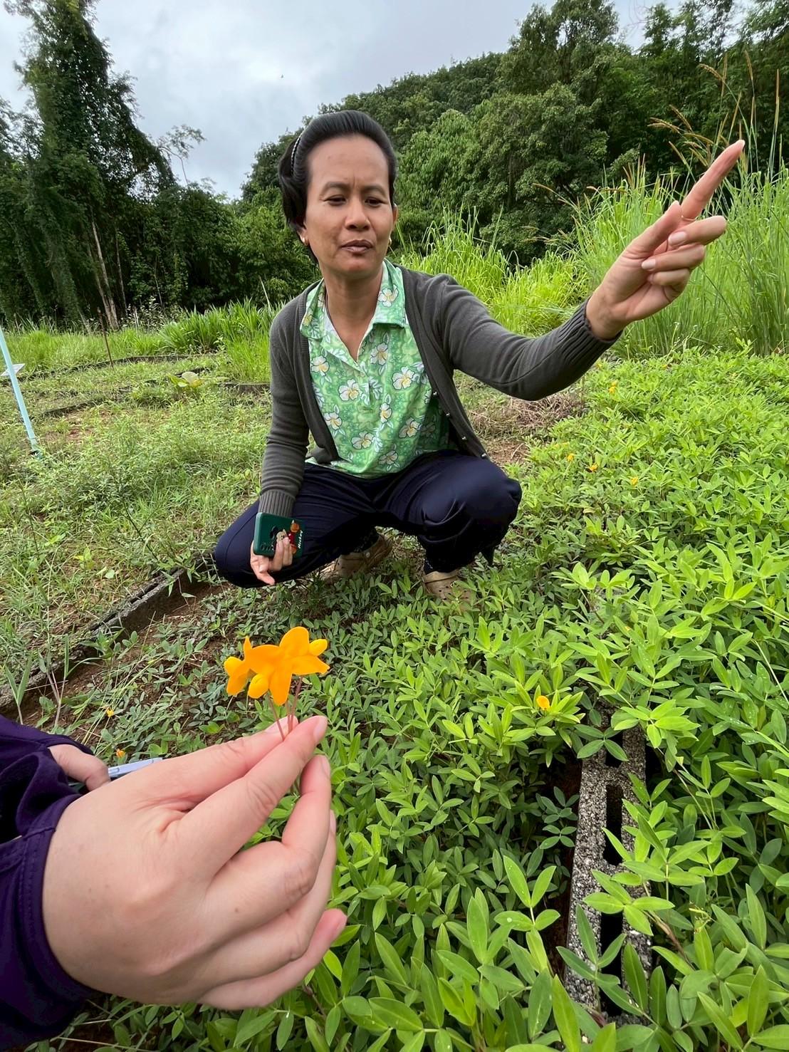 ภาพประกอบที่ 7