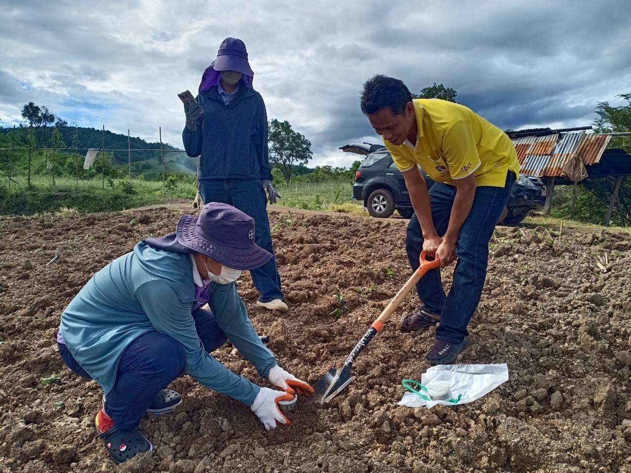 ภาพประกอบที่ 4