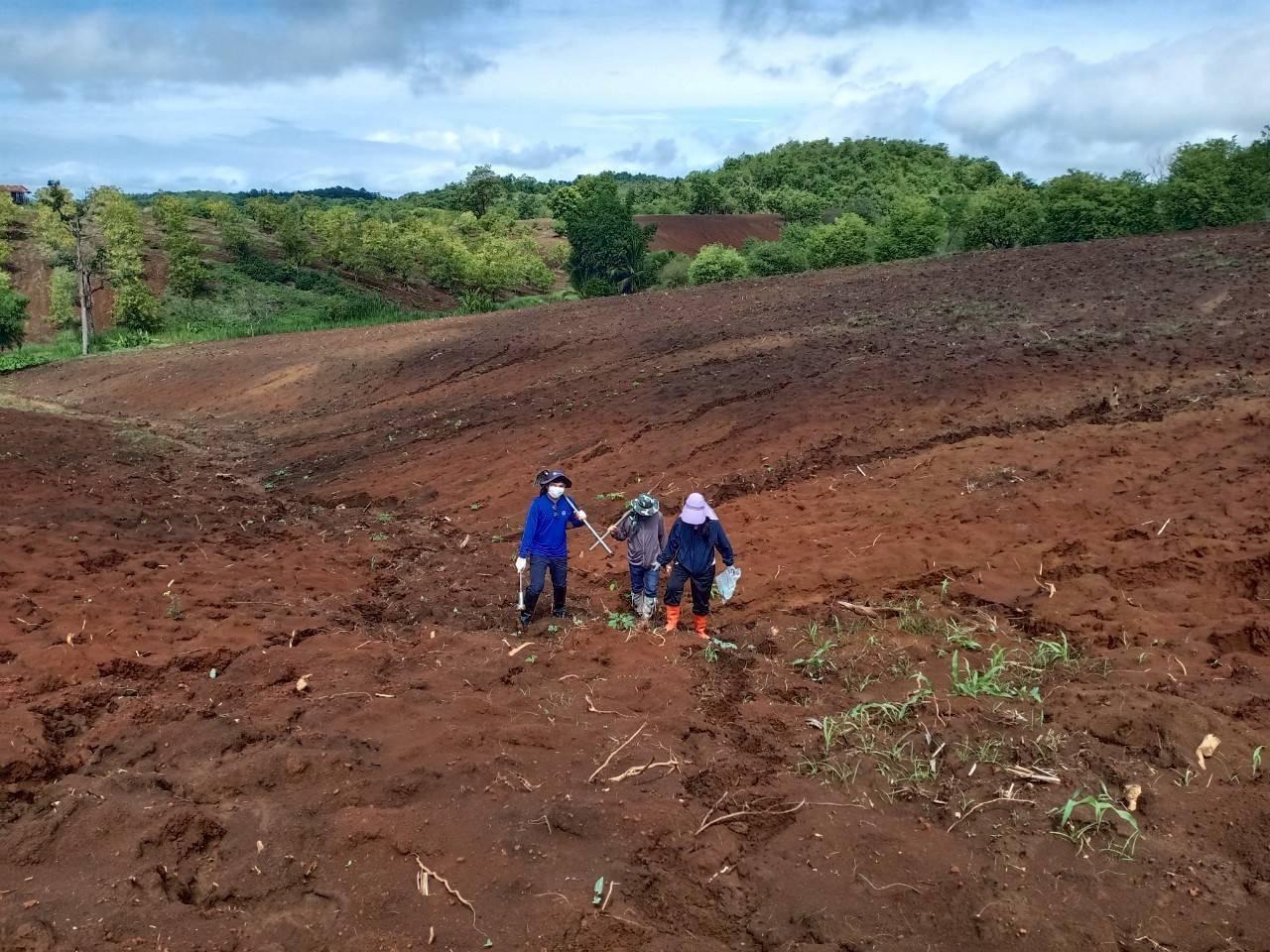 ภาพประกอบที่ 6