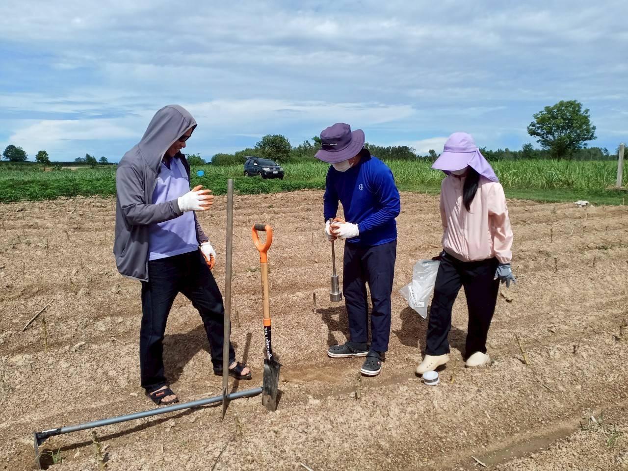 ภาพประกอบที่ 7