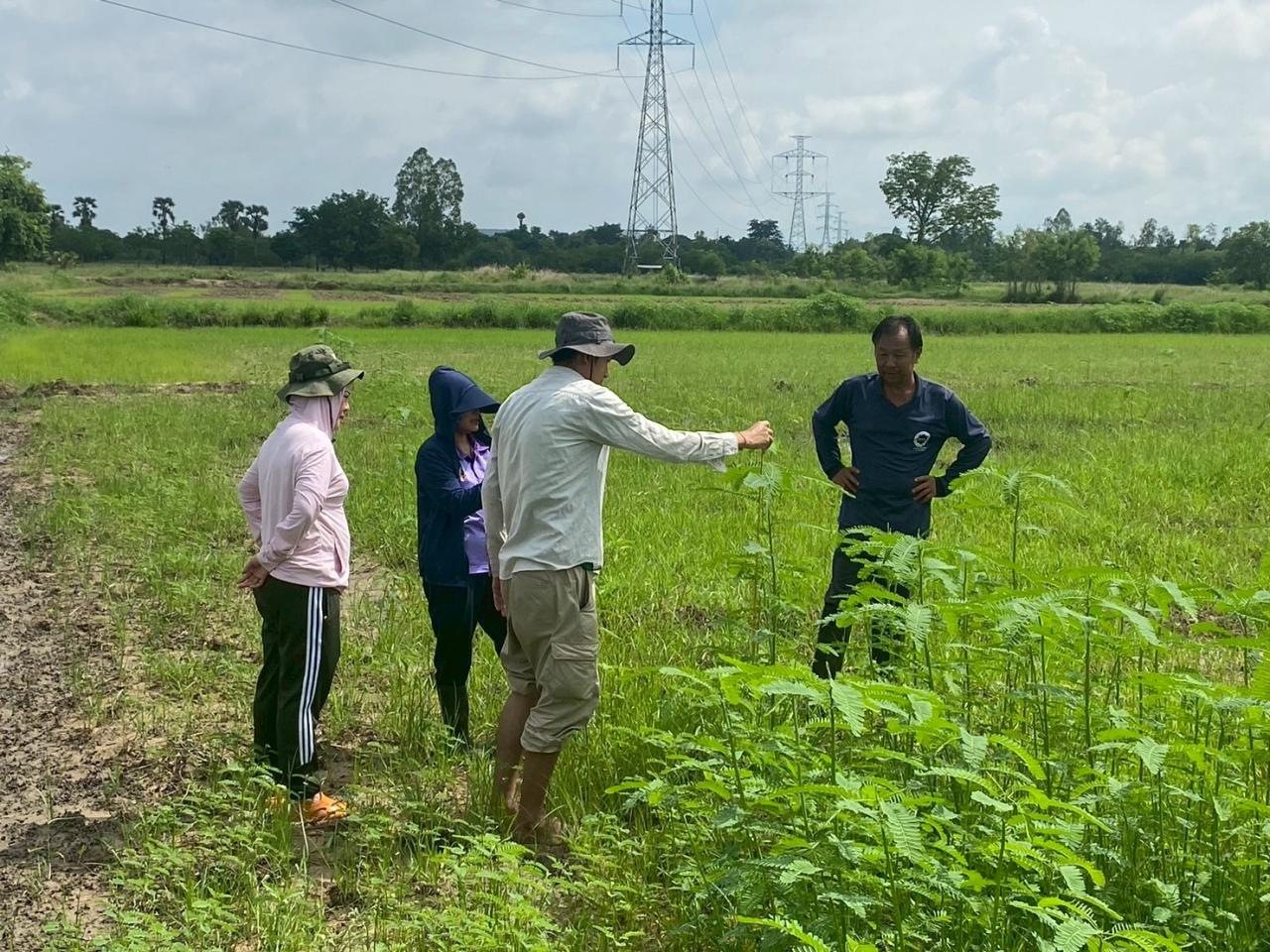 ภาพประกอบที่ 3