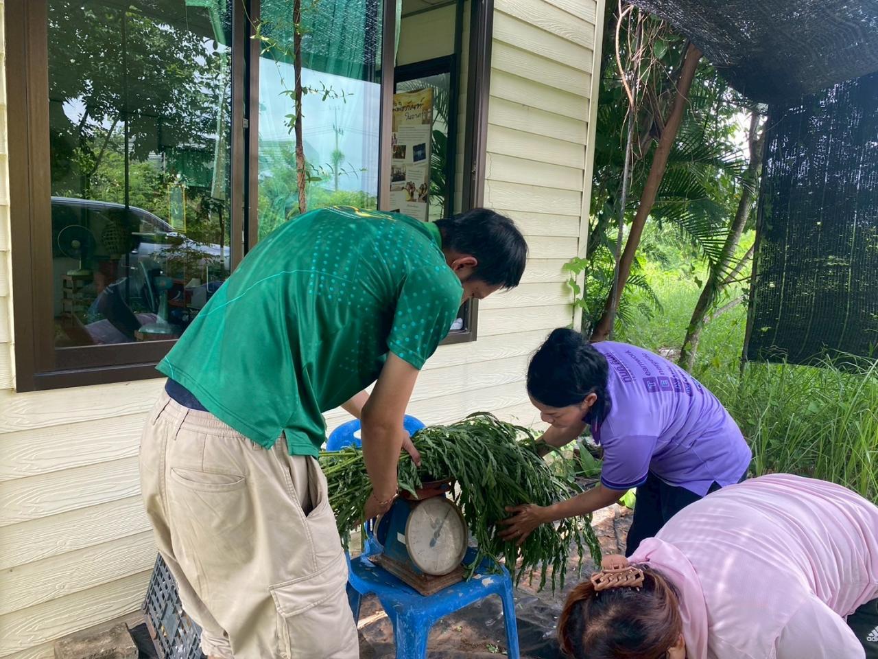 ภาพประกอบที่ 5
