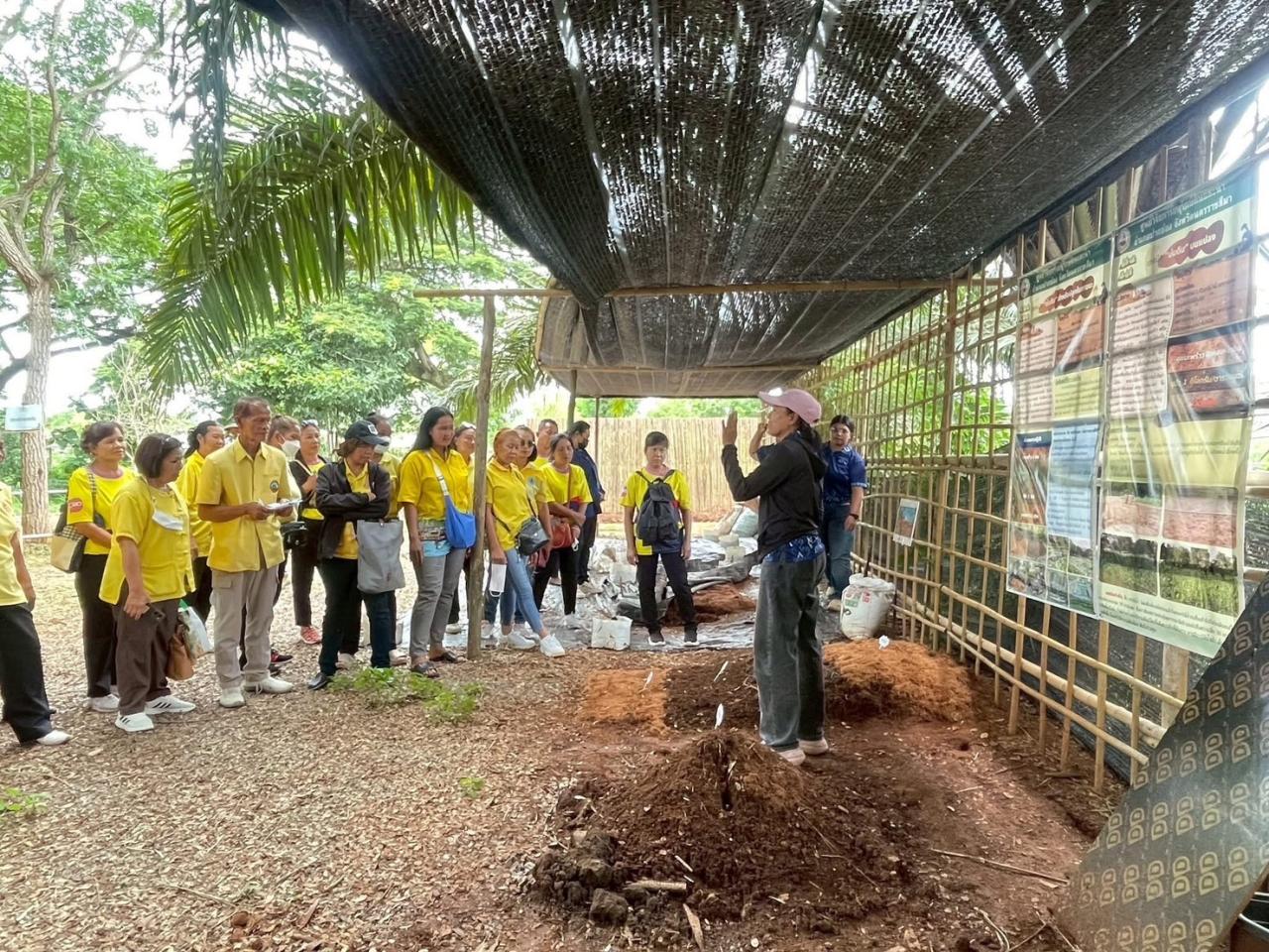 ภาพประกอบที่ 5