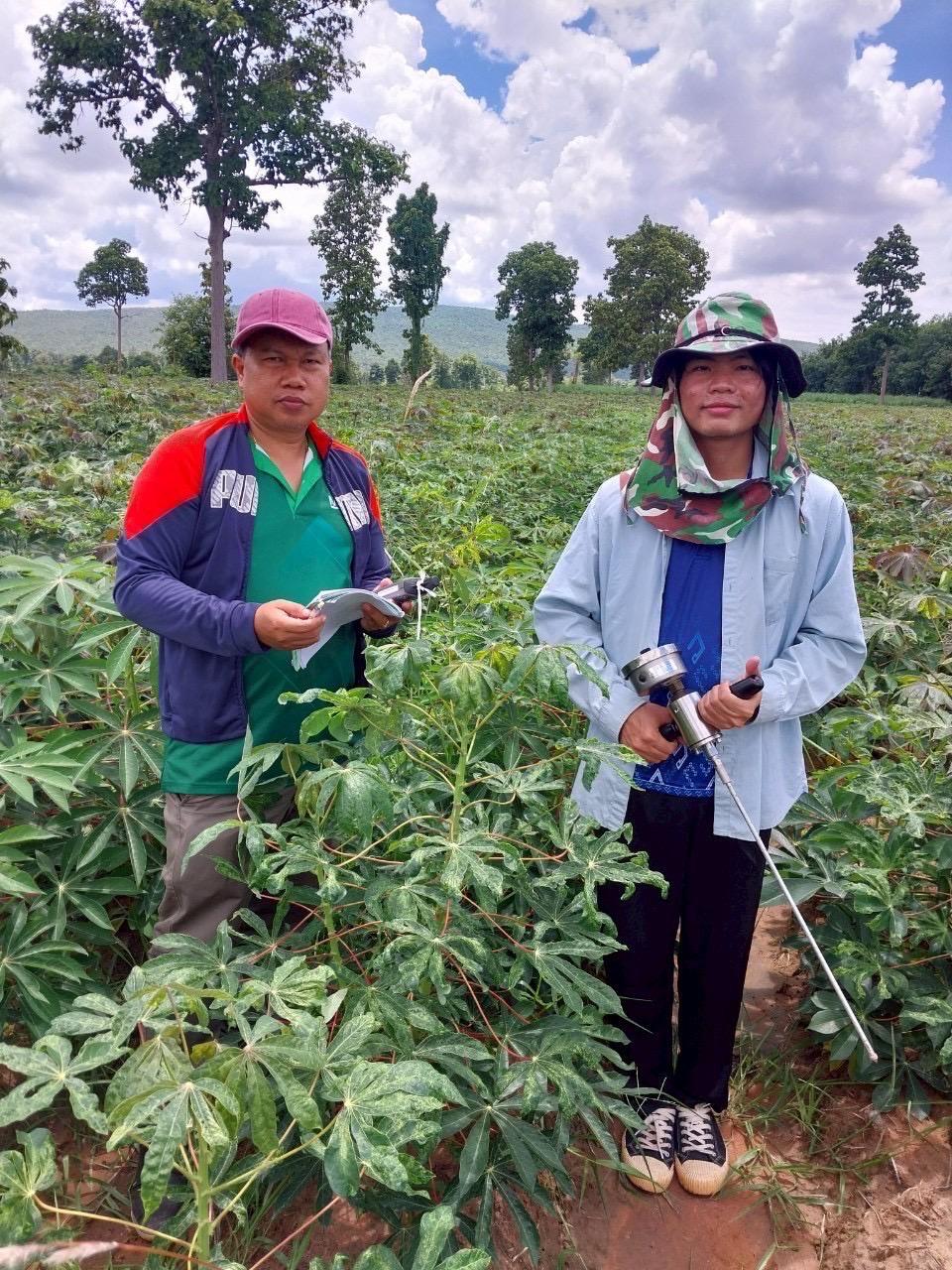 ภาพประกอบที่ 0