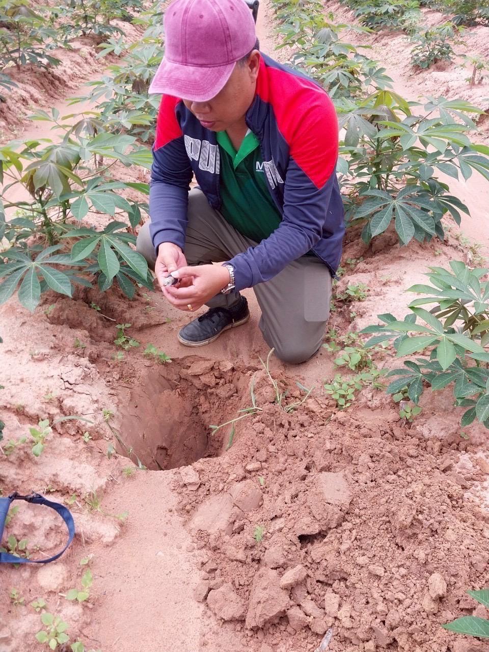 ภาพประกอบที่ 2