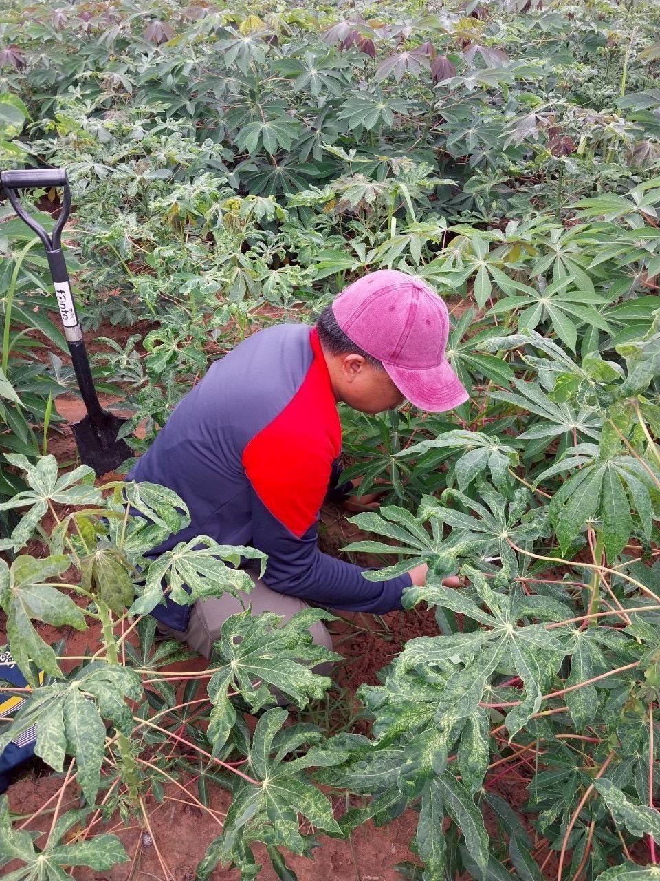 ภาพประกอบที่ 3