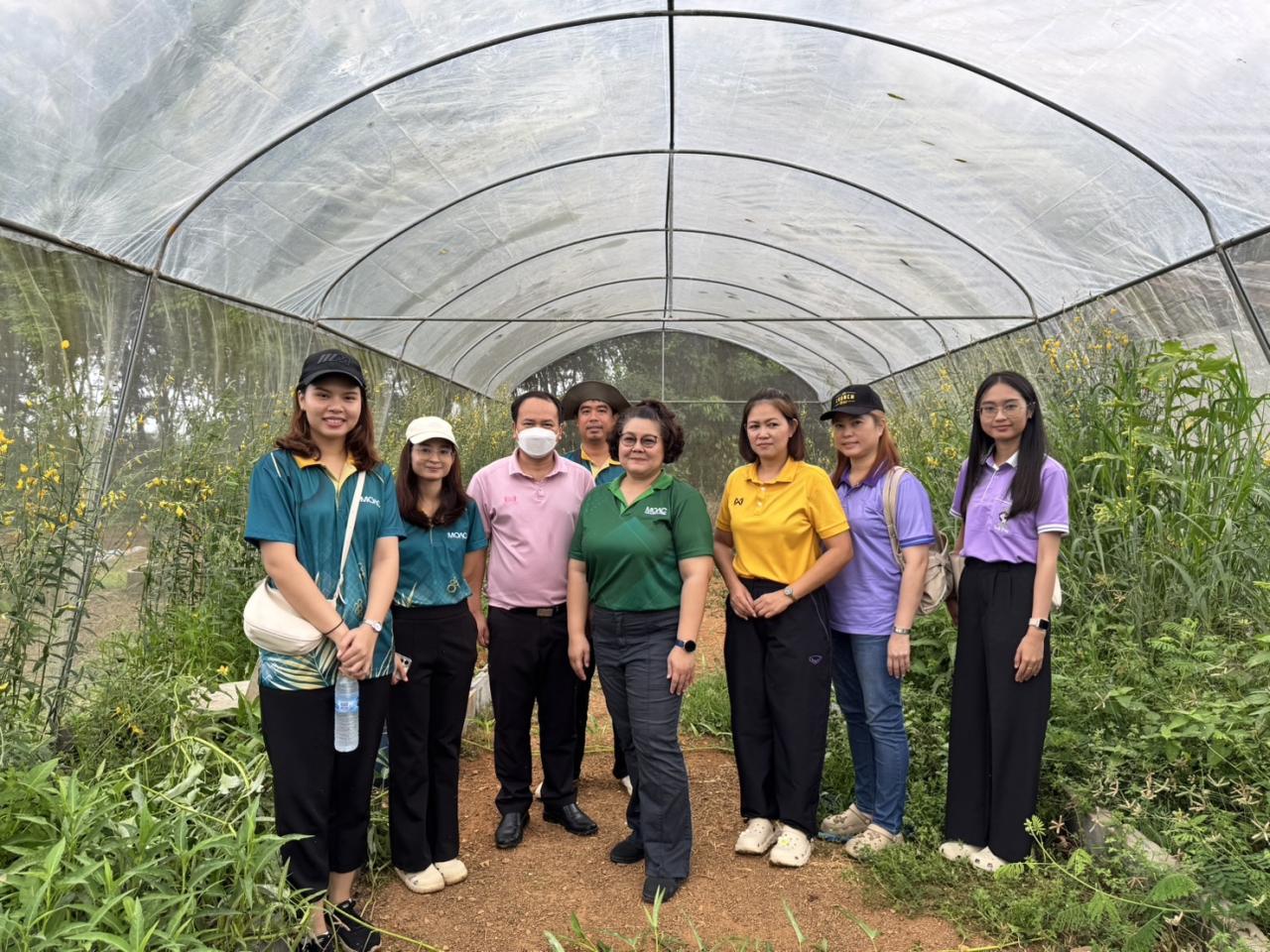 ภาพประกอบที่ 1