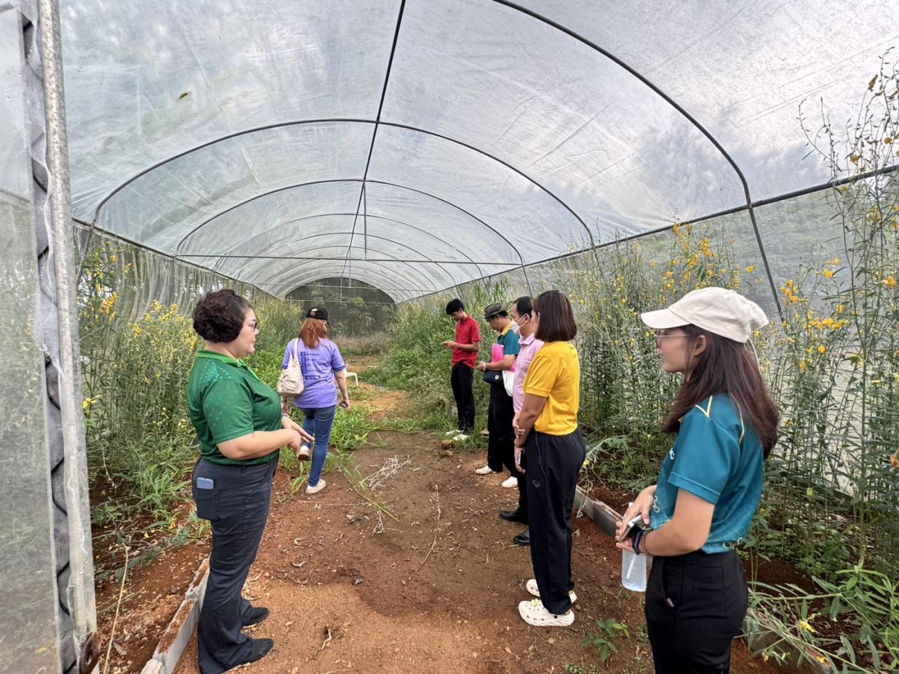 ภาพประกอบที่ 2